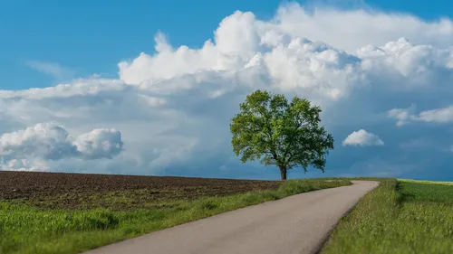 Copperwood Estate - Pre-construction project in 1075 March Road, Ottawa, ON K2K 1X7 Copperwood Estate - Pre-construction project in 1075 March Road, Ottawa, ON K2K 1X7